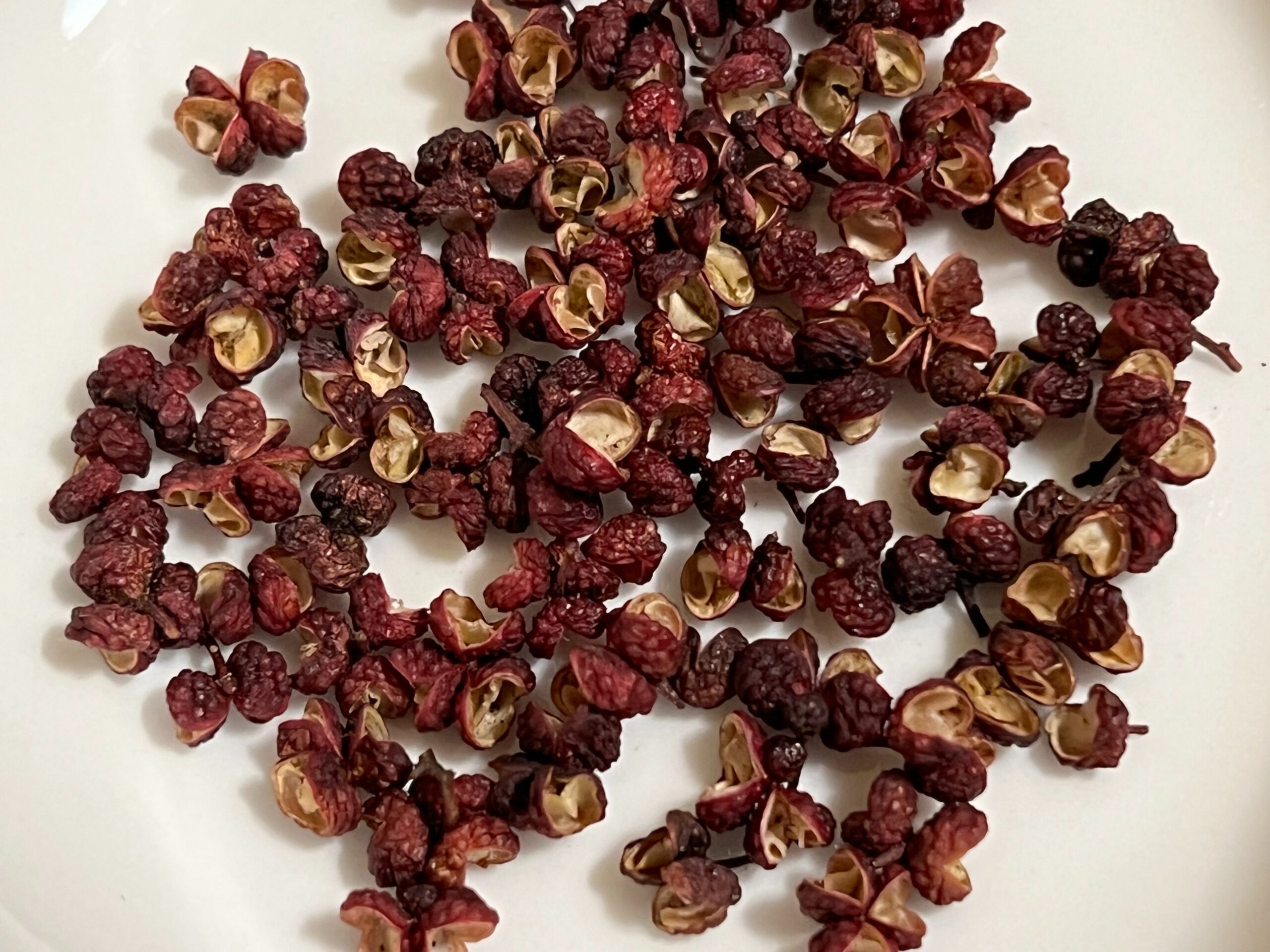 timur seeds