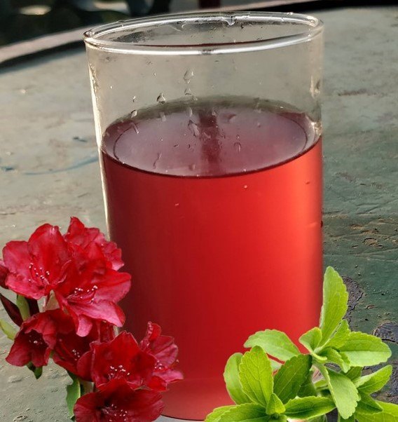 Buransh Juice - Image 3